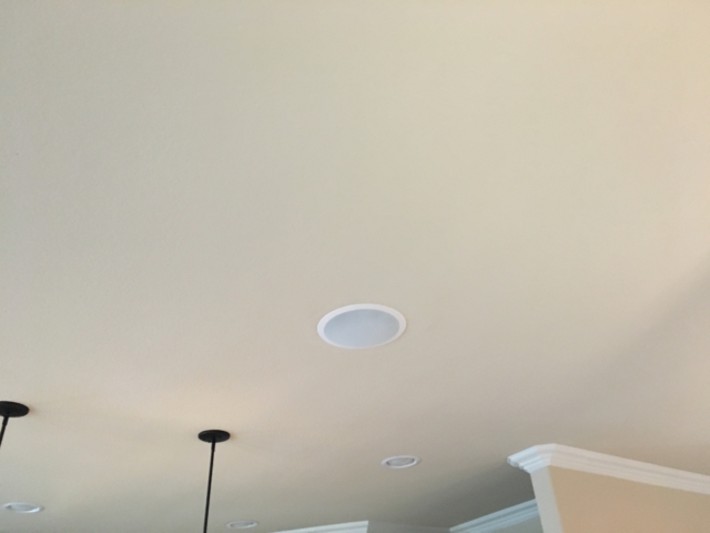 Ceiling Speaker